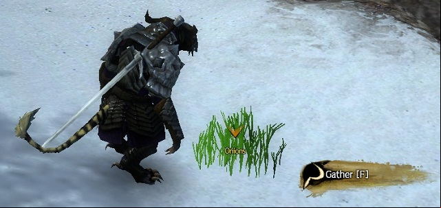 Because there is a plenty of iron, its enough to use the iron sickle - Materials - plants - Crafting - Guild Wars 2 - Game Guide and Walkthrough