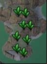 Farms are marked on the map. - Materials - plants - Crafting - Guild Wars 2 - Game Guide and Walkthrough