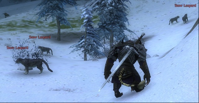 Place of monsters increased activity. Here you can find a lot of fine crafting materials. - Battle loot - Crafting - Guild Wars 2 - Game Guide and Walkthrough