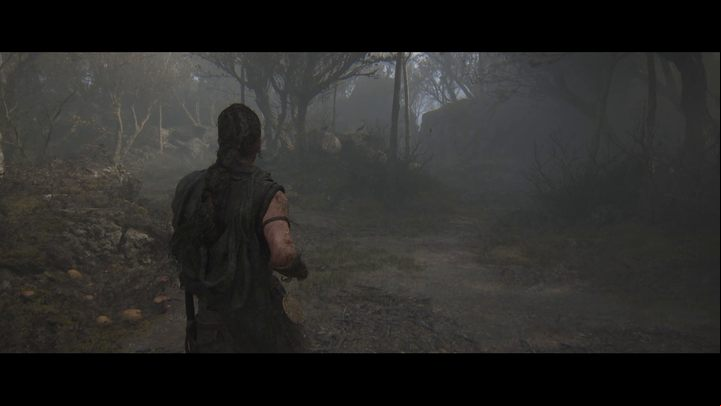 8 - Hellblade 2: Trophies/Achievements - Appendix - Hellblade 2 Senuas Saga Guide