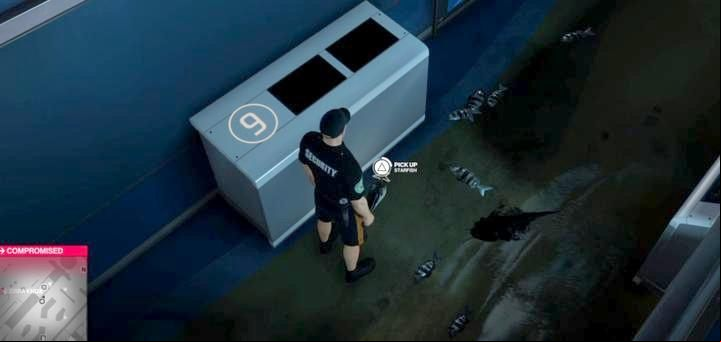 A starfish - aquarium no. 6. - Hitman 2: Challenges, Exploration - The Finish Line walkthrough - The Finish Line (Miami) - Hitman 2 Guide