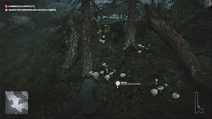 Poisonous Mushroom works just as well as rat poison - Hitman 3: Poison - how to get it? - Apex Predator - Berlin - Hitman 3 Guide