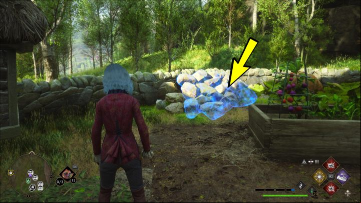 You can find this chest in the Aranshire village - Hogwarts Legacy: South Hogwarts Region - Collection Chests - Collection Chests - Hogwarts Legacy Guide