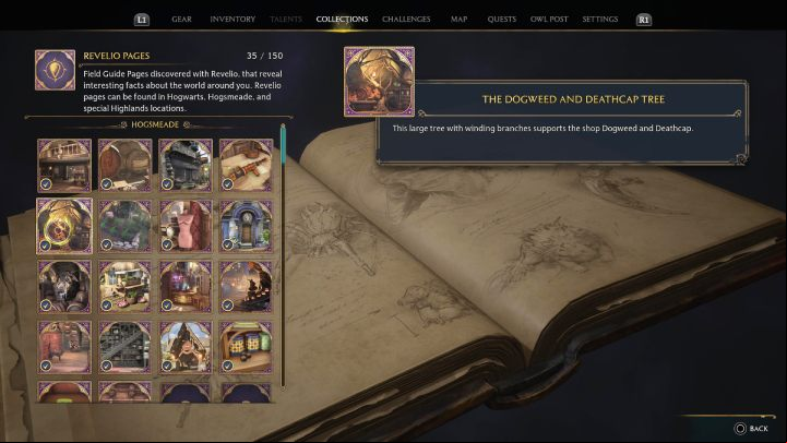 You can find all acquired Revelio pages in the Collections tab at the main menu - Hogwarts Legacy: How to find Field Guide Pages? - Combat and exploration - Hogwarts Legacy Guide