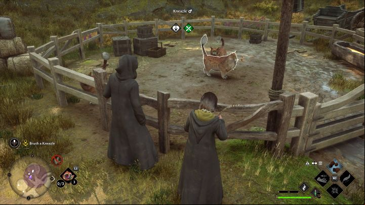 After watching the cut-scene of chasing away the students, use the brush and the feed again - Hogwarts Legacy: Beasts Class - Main quests - Hogwarts Legacy Guide