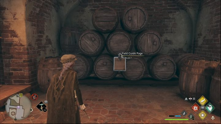 Name: Hufflepuff Barrels - Hogwarts Legacy: The Grand Staircase - Field guide pages - Hogwarts Legacy Guide