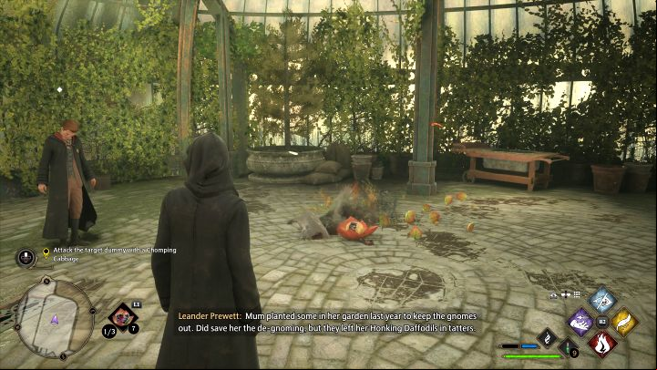 After closing the window, you can throw Chinese Chomping Cabbage with a single press of the tool button (L1/LB) - Hogwarts Legacy: Herbology Class - Main quests - Hogwarts Legacy Guide