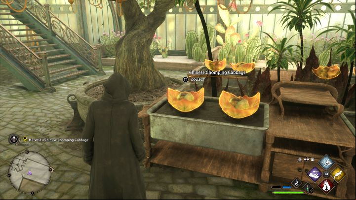 Go up the stairs and talk to Leander - Hogwarts Legacy: Herbology Class - Main quests - Hogwarts Legacy Guide