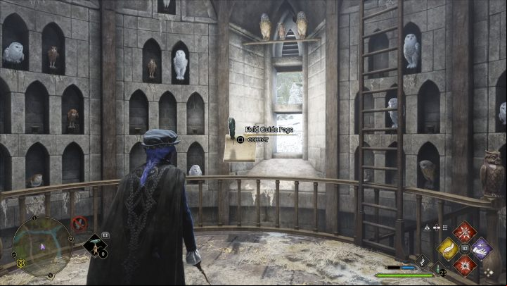 Name: Hogwarts Owls - Hogwarts Legacy: The Bell Tower Wing - Field guide pages - Hogwarts Legacy Guide