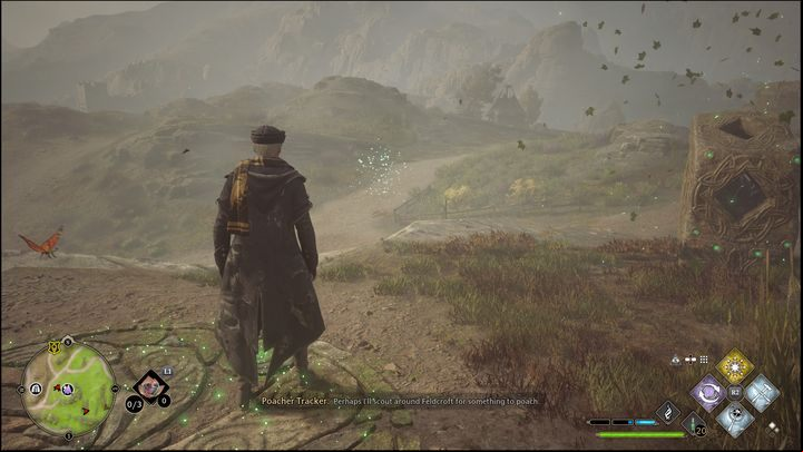 The task is to lead the butterflies to the shrines using the Lumos spell - Hogwarts Legacy: Clagmar Coast - all Merlin Trials - Merlins Trials - Hogwarts Legacy Guide