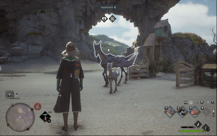 Please note that you must have two individuals of the opposite sex (this info is written next to the names of the animals) and they must be in the same Vivarium - Hogwarts Legacy: Can I own a pet? - Main character - Hogwarts Legacy Guide