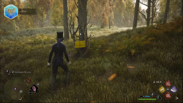 After fighting the wolves, use the Revelio spell and find Archie's bag on the nearby tree - Hogwarts Legacy: The Lost Child - Relationship quests - Natty - Hogwarts Legacy Guide