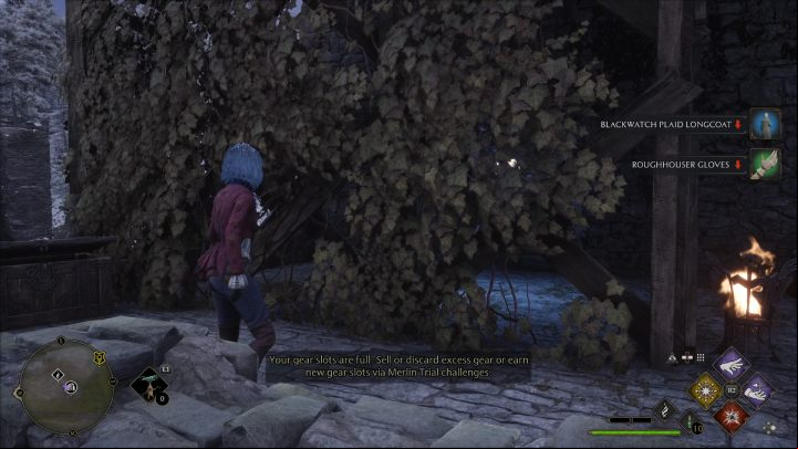 Remove the overgrowth with a fire spell and collect the final object - Hogwarts Legacy: Ancient Magic Hotspots Part 1 - Highlands - Hogwarts Legacy Guide