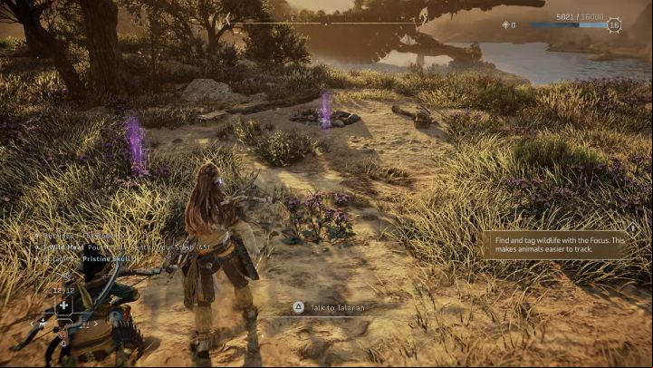 Scan the area and examine the weapons lying in the grass, the campfire, and the footprints farther east of the campfire - Horizon Forbidden West: The Burning Blooms - walkthrough - Side quests - Horizon Forbidden West Guide