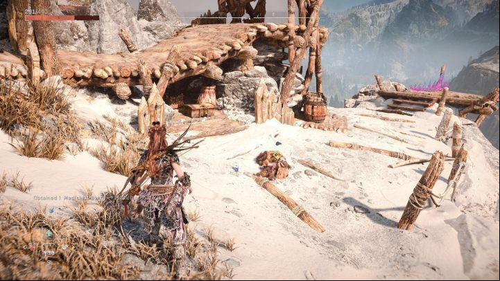 Search the area once the threat has been eliminated - Horizon Forbidden West: Call and Response - walkthrough - Errands - Horizon Forbidden West Guide