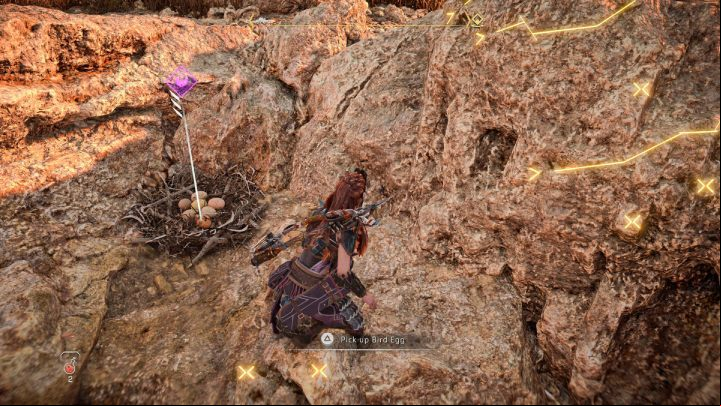 Swim up to an island in the lake near the Salt Bite camp and collect 5 bird eggs - Horizon Forbidden West: The Taste of Victory - walkthrough - Errands - Horizon Forbidden West Guide