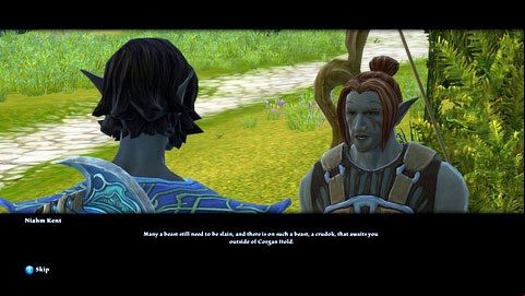 With all the monsters dead, return to Niahm for the next objective - Tala-Rane - p.4 | Side missions - Side missions - Kingdoms of Amalur: Reckoning Game Guide & Walkthrough