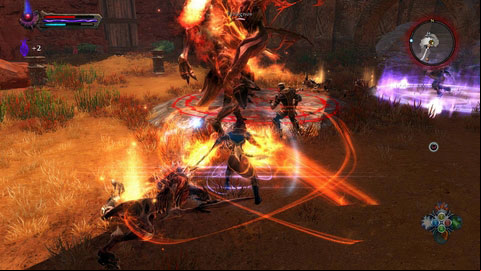 This fight is slightly different than other battles with Niskaru Lords - The Red Marches - p. 2 | Side missions - Side missions - Kingdoms of Amalur: Reckoning Game Guide & Walkthrough
