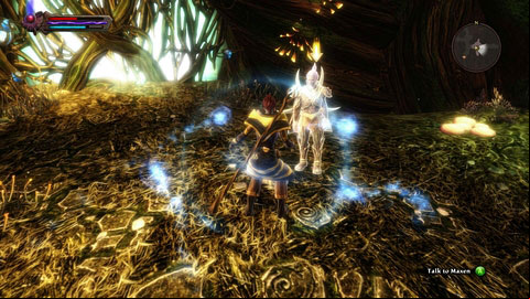 When you win, Pura will give you an amulet, which you have to show to a guard at Caer Elatha M2(5) - Alserund - p. 2 | Side missions - Side missions - Kingdoms of Amalur: Reckoning Game Guide & Walkthrough