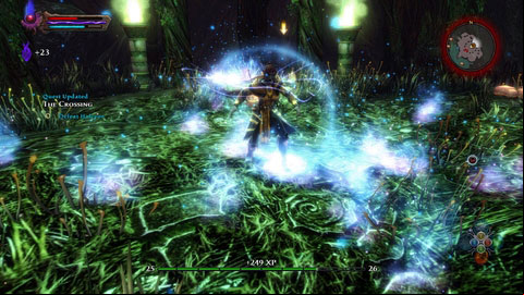 Regardless of your choices during the conversation, prepare for the fight with Halcyor - Alserund - p. 2 | Side missions - Side missions - Kingdoms of Amalur: Reckoning Game Guide & Walkthrough