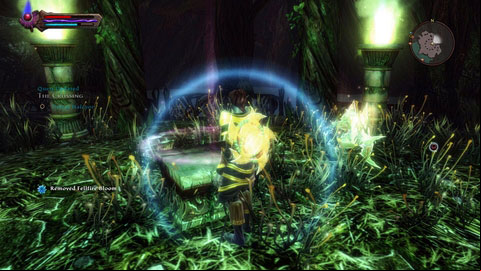 Once he is dead, put the plant on the nearby altar and then return to talk to the underground guard - Alserund - p. 2 | Side missions - Side missions - Kingdoms of Amalur: Reckoning Game Guide & Walkthrough