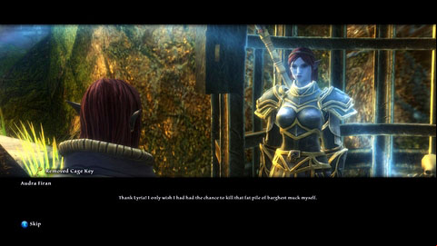 After killing the beast open the gate and talk to the woman again - The Keening | Side missions - Side missions - Kingdoms of Amalur: Reckoning Game Guide & Walkthrough