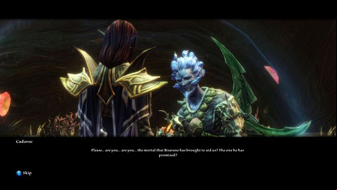 Your second task is to find a poisoned Fae boy named Cadoroc - Drowned Forest - p. 1 | Side missions - Side missions - Kingdoms of Amalur: Reckoning Game Guide & Walkthrough