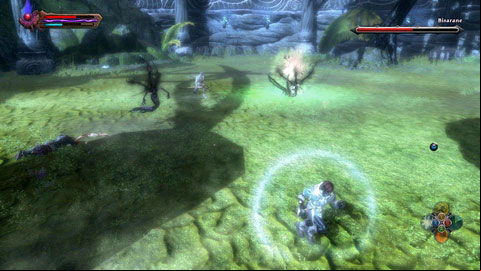 In addition to standard attacks, the mage will be summoning also groups of helpers - Drowned Forest - p. 5 | Side missions - Side missions - Kingdoms of Amalur: Reckoning Game Guide & Walkthrough