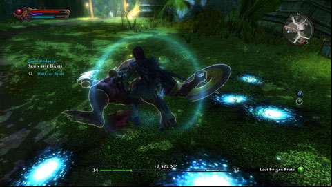 He will order you to clear Bolgan camp to the south M11(3) out of beasts - Caeled Coast - p. 1 | Side missions - Side missions - Kingdoms of Amalur: Reckoning Game Guide & Walkthrough