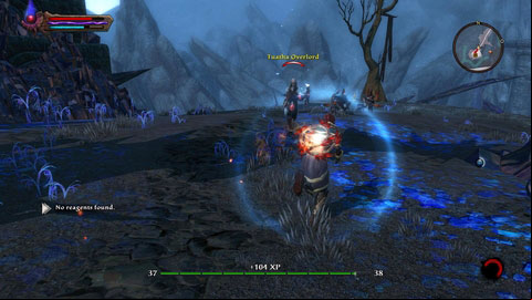 Once they are dead, you can deal with Gask, who awaits you at the end of mountain path M14(8) - Twilight - p. 1 | Side missions - Side missions - Kingdoms of Amalur: Reckoning Game Guide & Walkthrough
