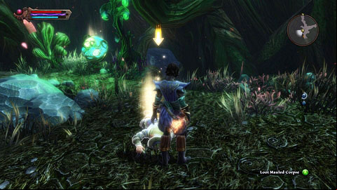 Right after you enter the cave, kill the first wave of enemies and examine the nearby corpse - The Wolds - p.3 | Side missions - Side missions - Kingdoms of Amalur: Reckoning Game Guide & Walkthrough