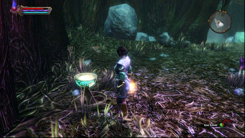 You should also ing lever to open ages - The Wolds - p.3 | Side missions - Side missions - Kingdoms of Amalur: Reckoning Game Guide & Walkthrough