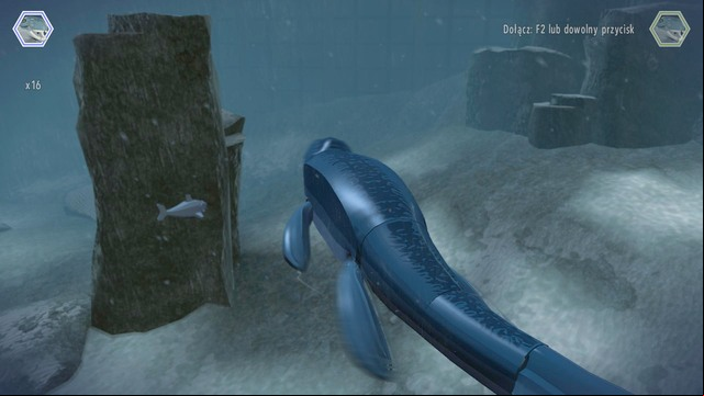 You will receive another golden brick after killing six sharks - Mosasaurus Arena | Jurassic World - secrets in free roam - Jurassic World - secrets in free roam - LEGO Jurassic World Game Guide & Walkthrough
