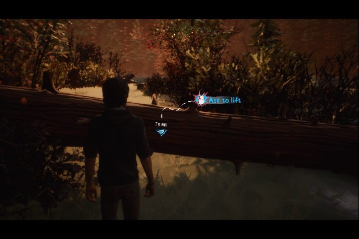You will encounter three targets: Stones, Pine cones and Mushrooms - Chapter III - Daggers Drawn | Life is Strange 2 Episode 2 Walkthrough - Episode 3 Walkthrough - Life is Strange 2 Game Guide