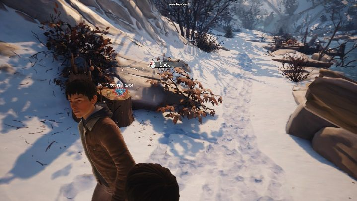 It is impossible to lift up the dog, but you can pick up the cans and the stone on our side of the river - Chapter I - Young Apprentice | Life is Strange 2 Episode 2 Walkthrough - Episode 2 Walkthrough - Life is Strange 2 Game Guide
