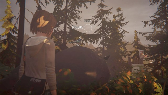 Youll find the last but one photo Chile running away from Chloes house - Life is Strange: Chrysalis - photos - Choices and decisions - Life is Strange Game Guide & Walkthrough