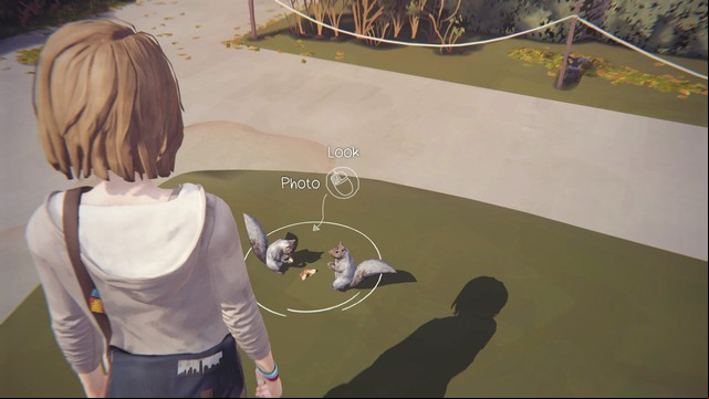 Photo #4 - Life is Strange: Dark Room - photos - Choices and decisions - Life is Strange Game Guide & Walkthrough
