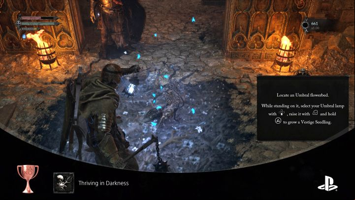 How to unlock: Use a Vestige Seed - Lords of the Fallen: Trophies / Achievements - list, trophy guide - Appendix - Lords of the Fallen Guide