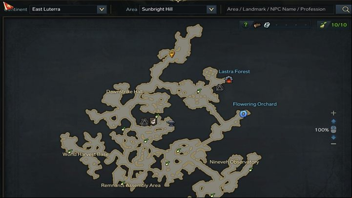 Wili-Wili is located on the north side of Sunbright Hill in East Lutherra - Lost Ark: Wili-Wili - boss, how to defeat? - Bosses - Lost Ark Guide