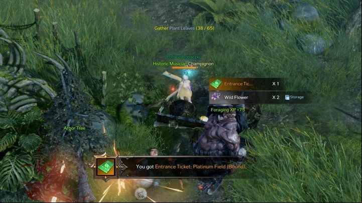Entrance Ticket: Platinum Field is a special item that allows you to enter the Platinum Field arena to acquire large amounts of resources and materials - Lost Ark: Platinum Field - where to get an Entrance Ticket - Activities after level 50 - Lost Ark Guide