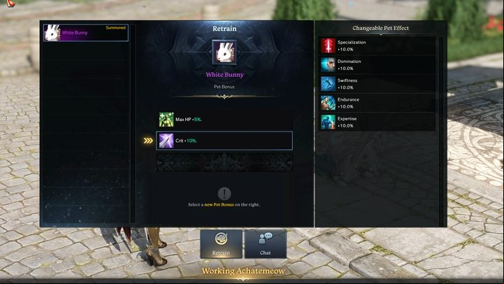 For a fee, you can train your pets to give you a different ive bonus. - Lost Ark: Pet / Mount - how to get it? - Game world - Lost Ark Guide