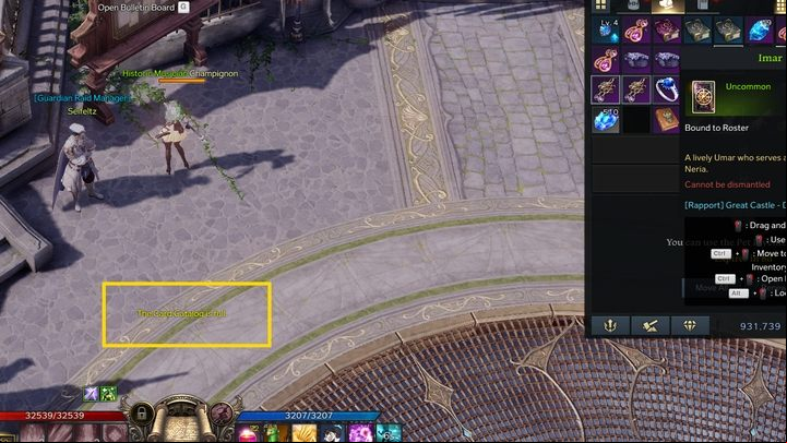 Collectible cards have two uses in the game - Lost Ark: Card Catalog is Full - how to fix? - Game mechanics and information - Lost Ark Guide