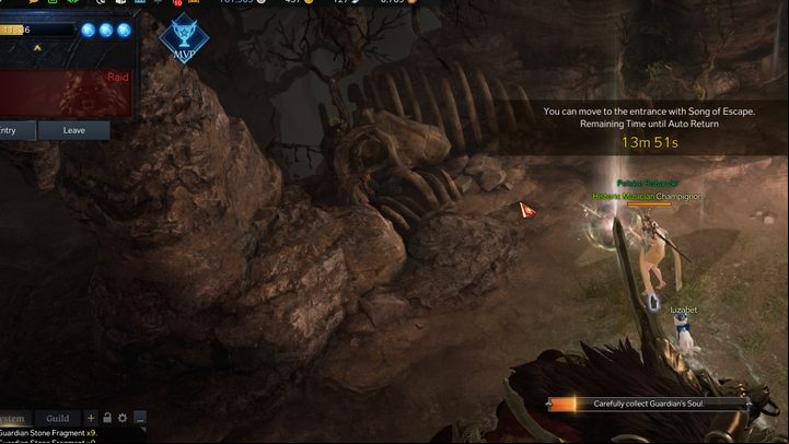 After the battle, don't forget to collect the souls that contain the loot - you can leave the location without collecting any rewards - Lost Ark: Guardian Raid - Activities after level 50 - Lost Ark Guide