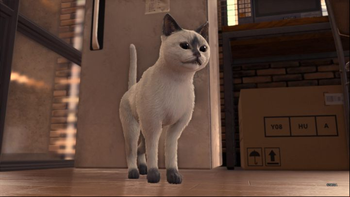 Feline encounters will be unlocked during The Forbidden Taste side case - Lost Judgment: Cats - how to befriend? - FAQ - Lost Judgment Guide