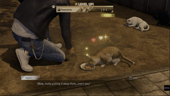 Pawpularity represents your friendship with the cats - Lost Judgment: Cats - how to befriend? - FAQ - Lost Judgment Guide