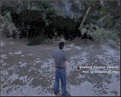 This area of the beach contains several interactive objects - Force Majeure III - 1x01 - Force Majeure - Lost: Via Domus - Game Guide and Walkthrough