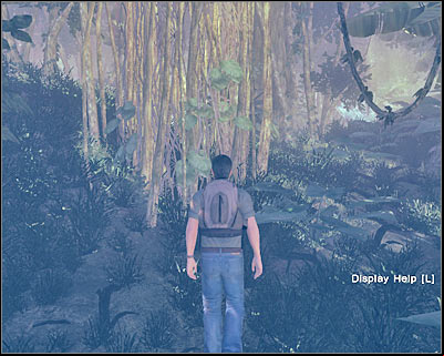 Thankfully, you shouldn't have any problems navigating through the jungle - A New Day III - 1x02 - A New Day - Lost: Via Domus - Game Guide and Walkthrough
