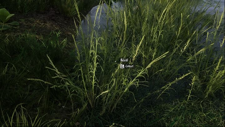 Huge clusters of reed in this form can be found just on the east of the starting point, across the river, but can also be found in other places - Medieval Dynasty: Straw - how to get? - FAQ - Medieval Dynasty Guide