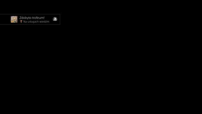 Trophy type: bronze - Trophies in MediEvil - Appendix - MediEvil Guide