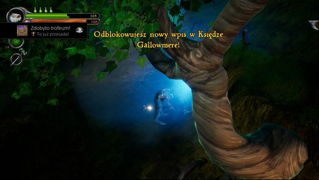 Trophy type: bronze - Trophies in MediEvil - Appendix - MediEvil Guide